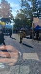 פרישע גאלעריע זונטאג צופרי פון קרית יואל ביים בית החיים ביומא דהילולא פון הרה"ק מסאטמאר זי"ע.