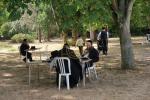 בילדער פונעם חסידישן קעמפ און קענטערבערי ענגלאנד בנשיאות כ"ק גאב"ד ביקאווסקא שליט"א פון לאנדאן