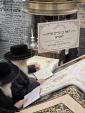 כ"ק אדמו"ר מסאטמאר שליט"א ביים ארויף גיין צום ציון ביומא דהילולא קדישא פון הרה"ק מסאטמאר זי"ע.
