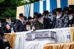 פולע בילדער גאלעריע פון די באזוך אין די סאטמארער אינגעל קעמפ און מעמד הנחת אבן הפינה פארן בנין שפע יואל דורך כ"ק אדמו"ר מסאטמאר שליט"א.