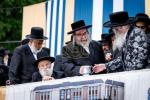 פולע בילדער גאלעריע פון די באזוך אין די סאטמארער אינגעל קעמפ און מעמד הנחת אבן הפינה פארן בנין שפע יואל דורך כ"ק אדמו"ר מסאטמאר שליט"א.