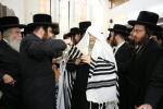 שמחת הברית בחצר קודש ביאלא בית שמש.