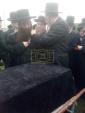 ניחום אבילים ביי כ"ק האחים האדמורי"ם לבית ספינקא שליט"א.