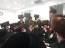 ניחום אבילים ביי כ"ק האחים האדמורי"ם לבית ספינקא שליט"א.