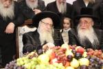 בילדער גאלעריע: כ"ק אדמו"ר מצאנז קלויזענבורג שליט"א באזוכט אין ארה"ק דריטער טייל