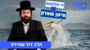  גיבור אוצר: די מלחמה מיטן שארק 