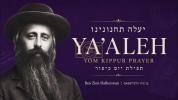 Main image for יעלה | תפילת יום כיפור פון ר' בן ציון האלבערשטאם מבאבוב