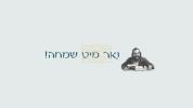לאמיר ווייניגער שרייען און מאכן מער תשובה | הרב ישראל מאזעס שליט"א | אידיש