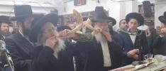 Main image for ווערט באמערקט הרה"צ המשפיע ר' אלימלך בידערמאן שליט"א בלאזן שופר