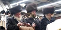 Main image for ערשטע סליחות חצר הקודש פינסק קרלין ירושלים