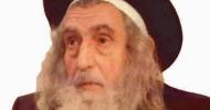 Main image for א מעשה פונעם ריבניצער פארו היינטיגע טאג דינסטאג נצבים וילך תשפ"ו