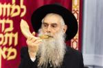 גענצליך איבערגעמאכט די היסטארישע יצירה אין קאלינינגראד נאך 130 יאר.