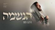 Main image for הנשמה לך - בנימין לוי