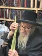 Main image for כ"ק ראב"ד סקווירא שליט"א ביי בדיקת ד' מינים