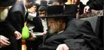 כ"ק אדמו"ר מבעלזא שליט"א ביים בודק זיין א מאראקאנער אתרוג.