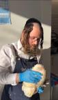 דאס לאנדאנער הינדל ווייסט אפנים וואו מ'קען באקומען א גוטע טונא סענדוויטש