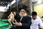 בילדער: כפרות שלאגן אין בני ברק ערב יום כיפור