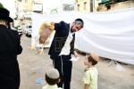 בילדער: כפרות שלאגן אין בני ברק ערב יום כיפור