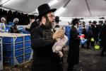 כ"ק אדמו"ר מסאטמאר שליט"א ביים מקיים זיין מנהג כפרות ערב יום הקדוש פארטאגס ביים נייעם סאטמאר פלייש לאקאציע אין קרית יואל