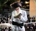 יום הקדוש ביי כ"ק אדמו"ר מצאנז שליט"א