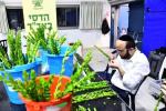 בילדער: הכנות ערב סוכות אין בני ברק