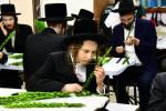 בילדער: הכנות ערב סוכות אין בני ברק