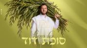 Main image for סוכת דוד - יואלי דאווידאוויטש