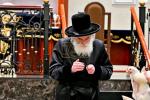 יום הקדוש ביי כ"ק אדמו"ר מוויזניץ שליט"א