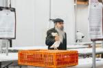 מאסן אידן האבן איבערגעפילט די שולן און צענטראלע בתי מדרשים אין מאסקווע, די הויפטשטאט פון רוסלאנד, צו מיטהאלטן די געהויבענע תפילות פונעם הייליגן יום כיפור ברוב עם הדרת מלך.