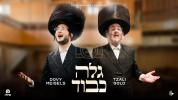 Main image for צאלי גאלד און דובי מייזעלס - גלה כבוד