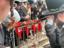ראש השנה, עשרת ימי תשובה, יום הקדוש בחצר הקודש צאנז קלויזענבורג