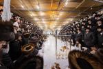 שמחת בית השואבה ביי כ"ק אדמו"ר מקרעטשניף שליט"א