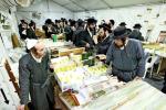 ארבע מינים שוק אין בית המדרש חקל יצחק ברמה ד בבית שמש
