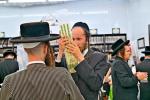 ארבע מינים שוק אין בית המדרש חקל יצחק ברמה ד בבית שמש