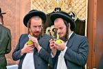 ארבע מינים שוק אין בית המדרש חקל יצחק ברמה ד בבית שמש