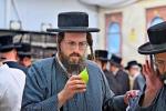 ארבע מינים שוק אין בית המדרש חקל יצחק ברמה ד בבית שמש