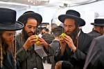 ארבע מינים שוק אין בית המדרש חקל יצחק ברמה ד בבית שמש