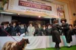 מעמד פדיון פטר חמור אין קהלת סאטמאר לאנדאן