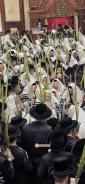 סוכות תשפ"ז ביי כ"ק אדמו"ר מטאהש שליט"א