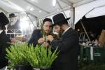 ערב סוכות צענעס אין עיר התורה והחסידות לעיקוואד