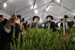 ערב סוכות צענעס אין עיר התורה והחסידות לעיקוואד