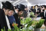 ערב סוכות צענעס אין עיר התורה והחסידות לעיקוואד