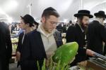 ערב סוכות צענעס אין עיר התורה והחסידות לעיקוואד