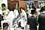 הושענא צדיק מושיעו: הושענא רבה און הקפות שניות ביי כ"ק מקרעטשניף ירושלים שליט"א