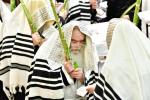 הושענא צדיק מושיעו: הושענא רבה און הקפות שניות ביי כ"ק מקרעטשניף ירושלים שליט"א