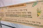 די ארבע מינים שוק אין מאסקווע'ס מארינע ראשע געגנט, ווירבלט מיט הונדערטער קליענטן, סוחרים און באזוכער, אן אומגלויבליכע ערשיינונג אין א לאנד מיט א בלוטיגע פארגאנגענהייט. 
