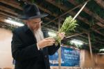 די ארבע מינים שוק אין מאסקווע'ס מארינע ראשע געגנט, ווירבלט מיט הונדערטער קליענטן, סוחרים און באזוכער, אן אומגלויבליכע ערשיינונג אין א לאנד מיט א בלוטיגע פארגאנגענהייט. 