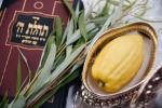 רירנדע סוכות מאמענטן ביי יהדות מאסקאווע רוסלאנד אינטערן שאטן פונעם מלחמת רוסלאנד-אוקריינע