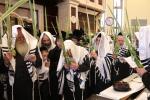 הושענה רבה ביי כ"ק אדמו"ר מסלאנים שליט"א