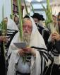 יו"ט סוכות געפראוועט דורך המשפיע הגה"צ רבי יצחק משה ערלאנגער שליט"א צוזאמען מיט זיין קהילה אין שטאט אשדוד יצ"ו